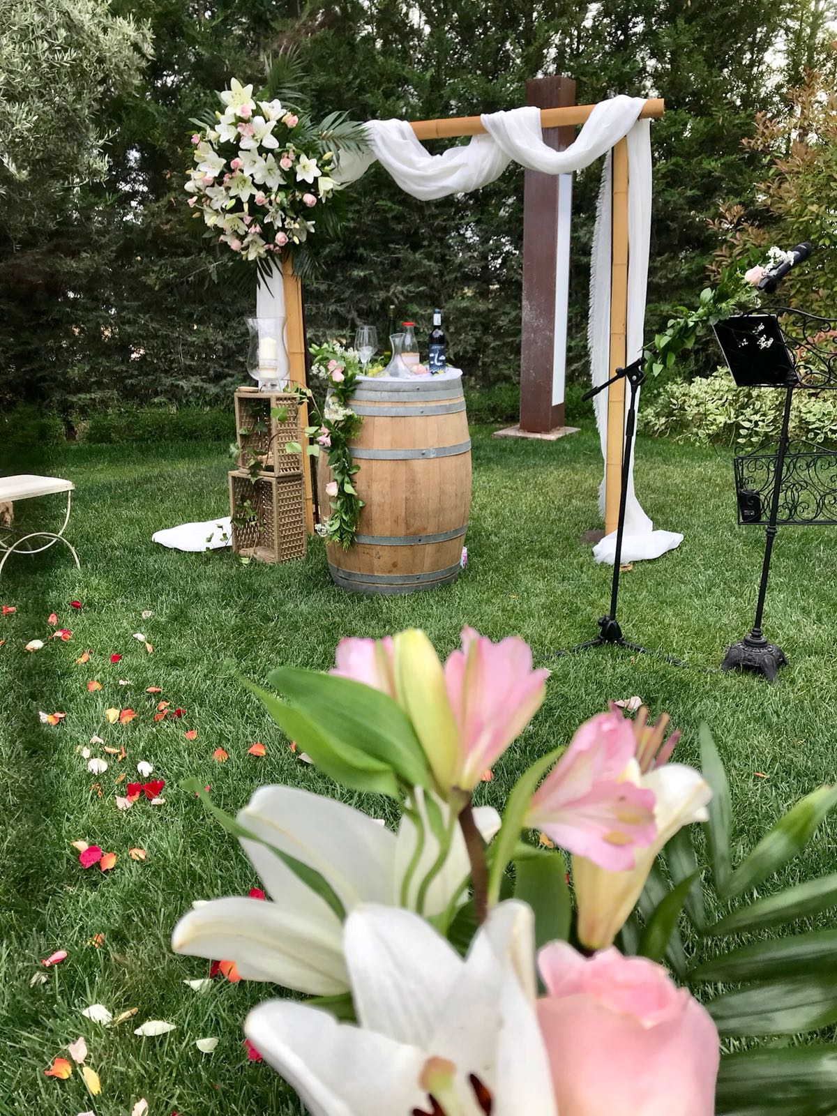 boda embriagadora boda embriagadora