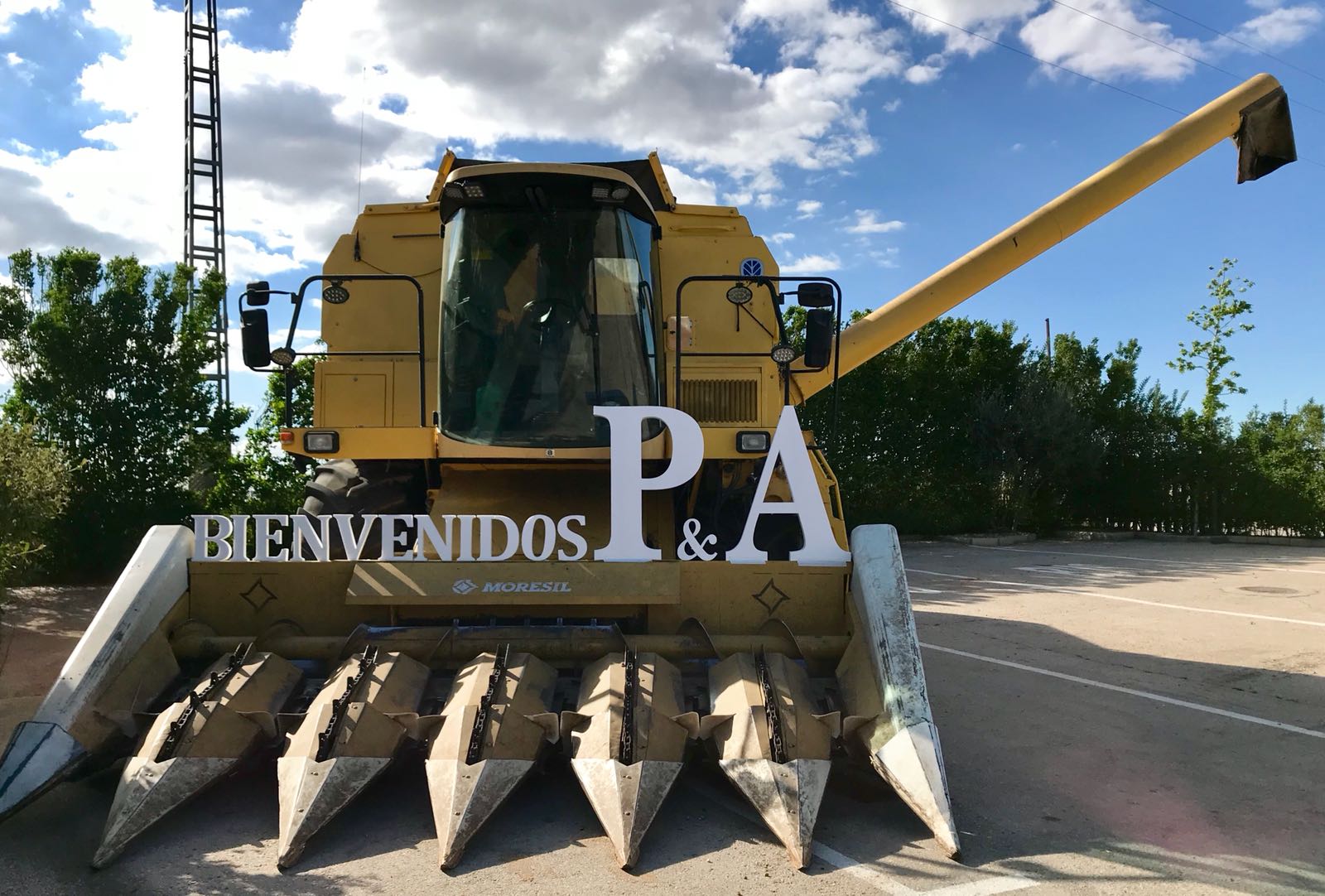 decoración de bodas decoración de bodas