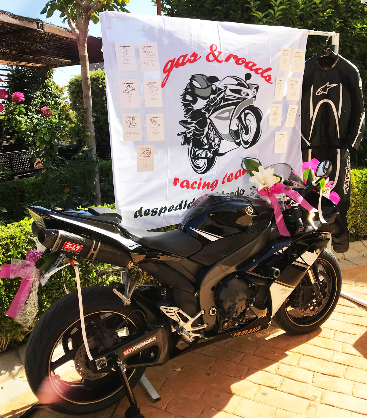 caballos de amor principal