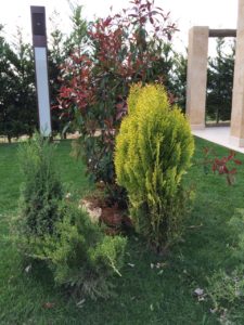 jardines de boda en albacete detalle