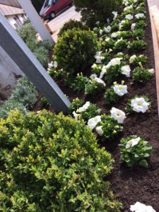 jardines de boda en albacete flores