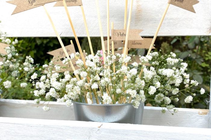 seating plan de boda principal