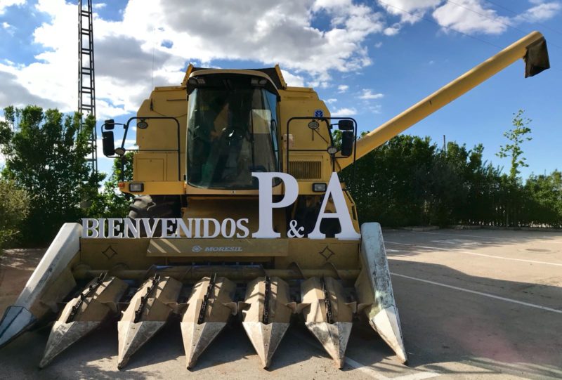 decoraxción temática en las bodas principal