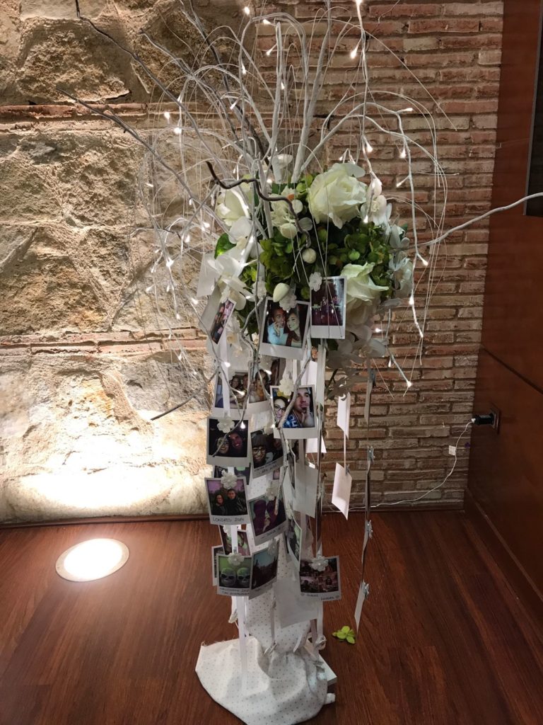 boda de altos vuelos árbol de fotos