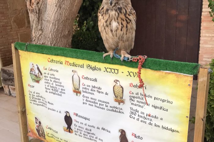 boda de altos vuelos