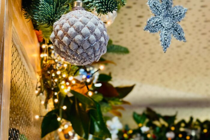 La Navidad llega a Los Chopos